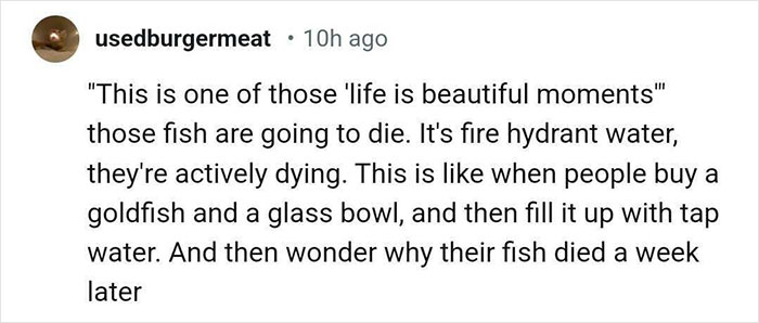 Aquarium With Real Fish Created Around Fire Hydrant "Puddle" Draws Criticism For Its Cruelty