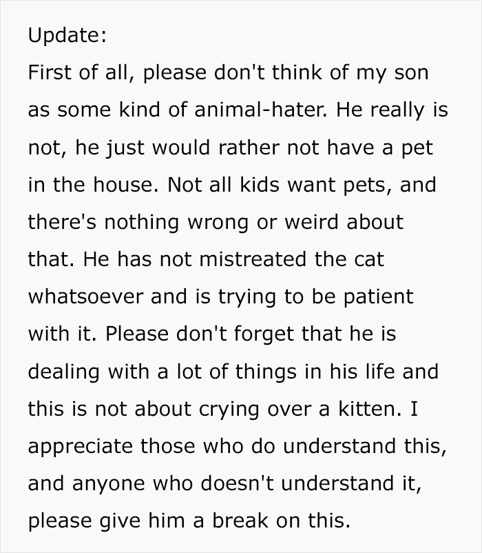 Husband Makes A Selfish Decision To Bring A Kitten Home Without Considering His Family's Feelings