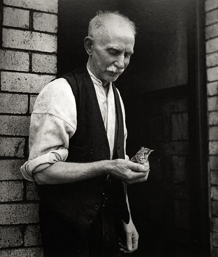 Man With Bird, Tyneside, England, Ca. 1937 - By Edith Tudor Hart