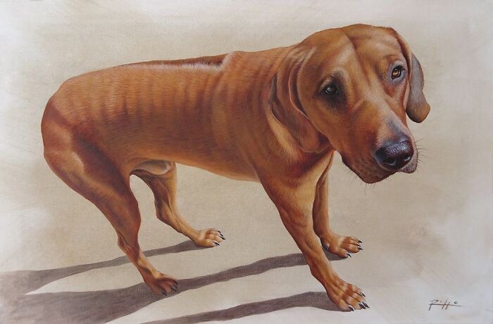 Roberto Rizzo’s Captivating Pet Paintings