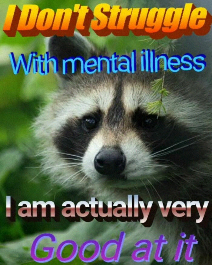 Adorable-Raccoon-Memes