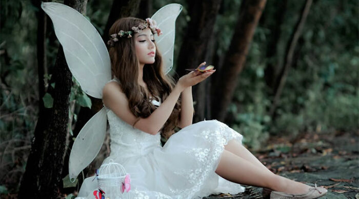 Fairies