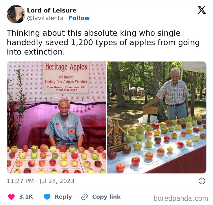 Blessed_appleman