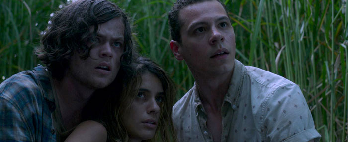 A scene from the movie In the Tall Grass featuring three characters crouching together in a dense, overgrown field of tall grass. They all have tense, fearful expressions, looking in the same direction as if something is approaching. The dim lighting and confined environment heighten the feeling of suspense and danger in the scene.