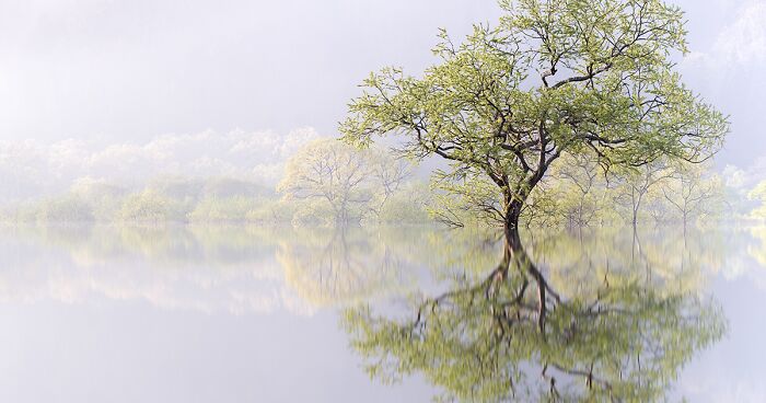 20 Exceptional Photographs Crowned Winners At Tokyo International Foto Awards 2023