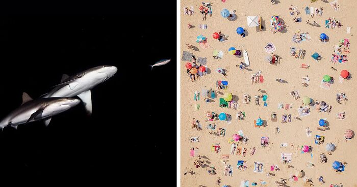 The Best 48 Photos Of 2024 According To The Minimalism Photography Awards