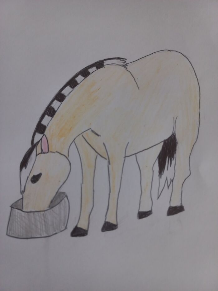 Failed Attempt At Norwegian Fjord Horse