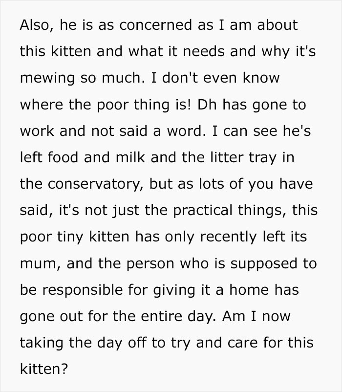 Husband Makes A Selfish Decision To Bring A Kitten Home Without Considering His Family's Feelings