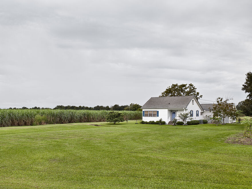 House By The Canefields, LA