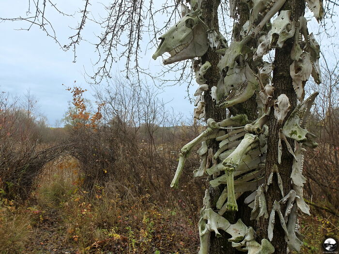 Skull Totem, Poland