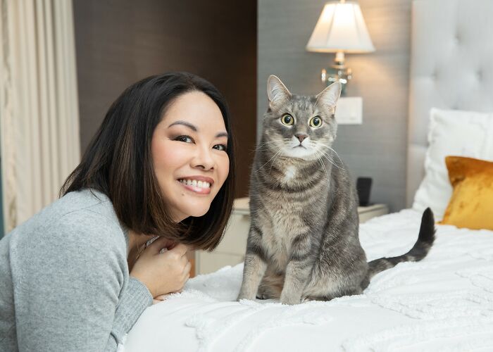 Pawsitive Connections: Celebrating Cats And Their Human Hearts (New Pics)