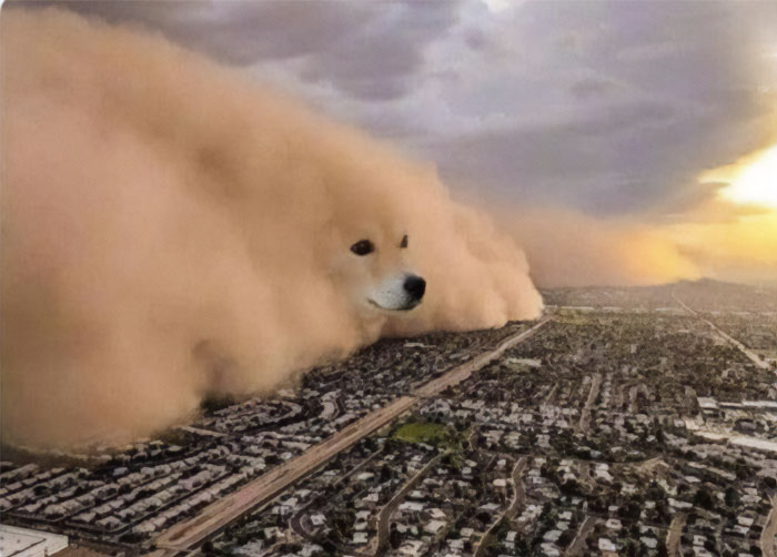  A surreal meme image showing a massive sandstorm approaching a city, but the storm has the face of a Shiba Inu dog seamlessly blended into the clouds of dust. The dog appears calm and stoic, creating a humorous contrast between the impending chaos and the peaceful expression of the dog.