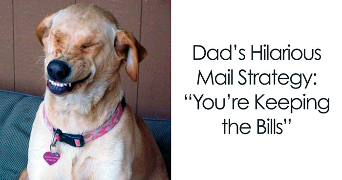 40 Dad Memes That Prove Dads Are The Funniest People Alive