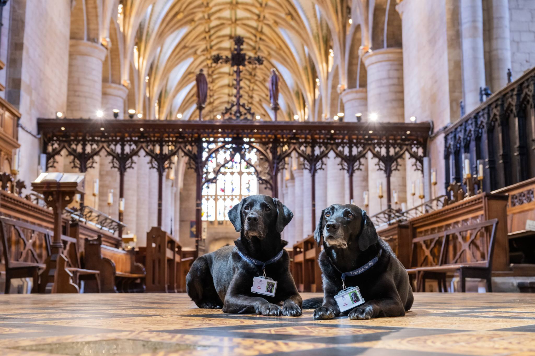 These Dogs Were Allowed To Come In Temporarily, But Ended Up Staying As Staff At Tewkesbury Abbey