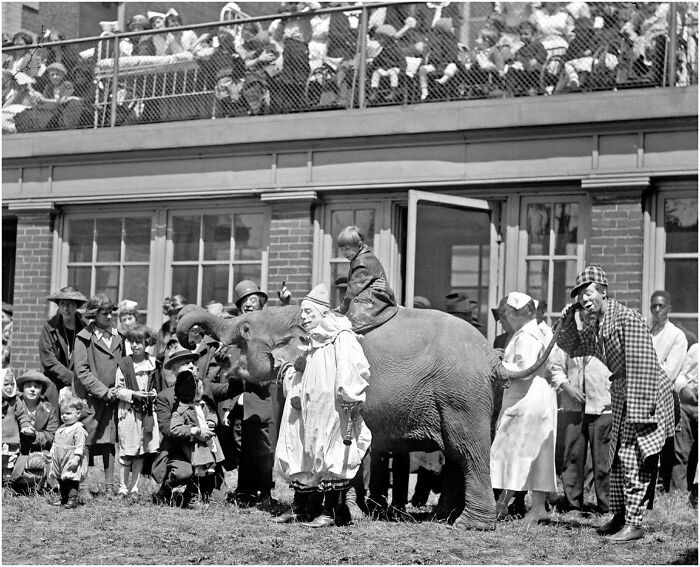 The Circus At A Children's Hospital - 1923