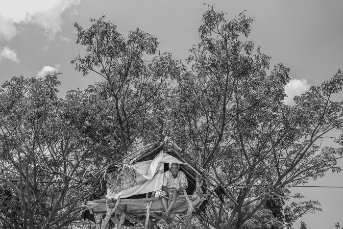 A man sitting in a treehouse surrounded by tall trees, capturing an award-winning moment from Tokyo International Foto Awards.