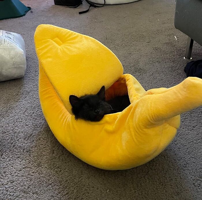 Move Over, Cardboard Boxes! This Cute Banana Cat Bed House Is The Upgrade Your Feline Friend Deserves