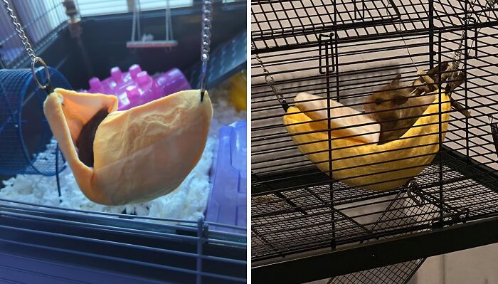 This Hammock Is The Perfect Place For Your Hamster To Chill Out And Contemplate The Meaning Of Life