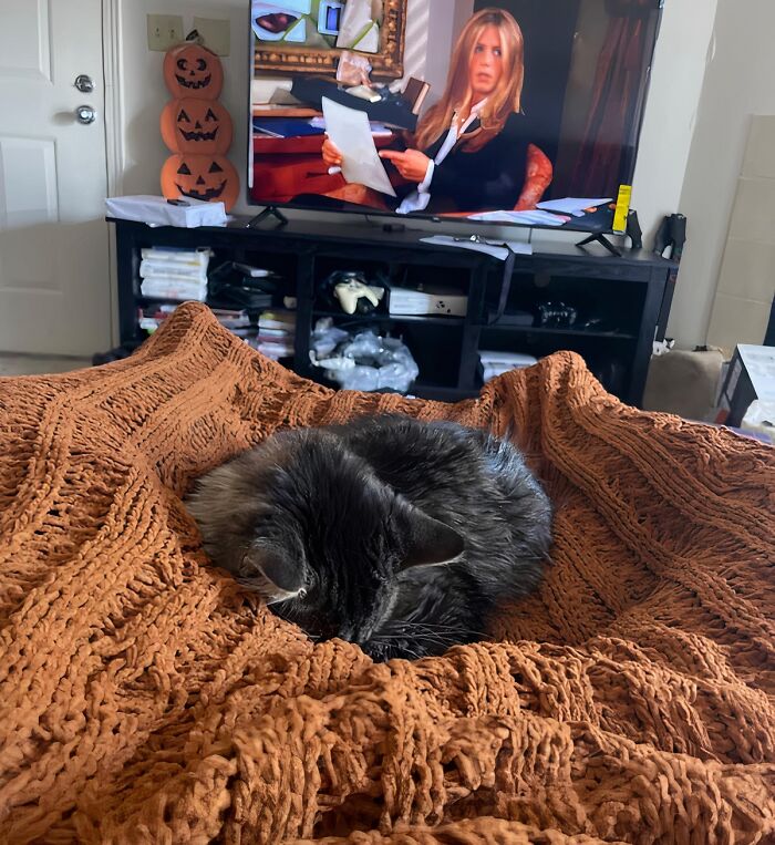 This Burnt Orange Throw Blanket Is The Pumpkin Spice Of Home Decor, Adding Warmth And Autumnal Charm To Any Room