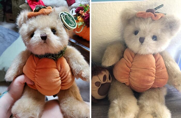 This Pumpkin Plush Teddy Bear Is So Cute, It'll Make You Want To Squash All Your Other Stuffed Animals