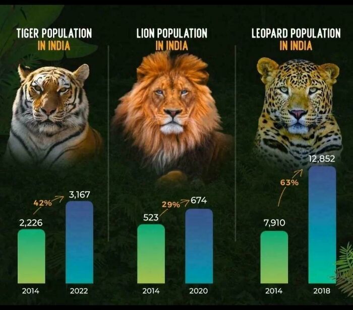 India's Wildlife Conservation Going Well