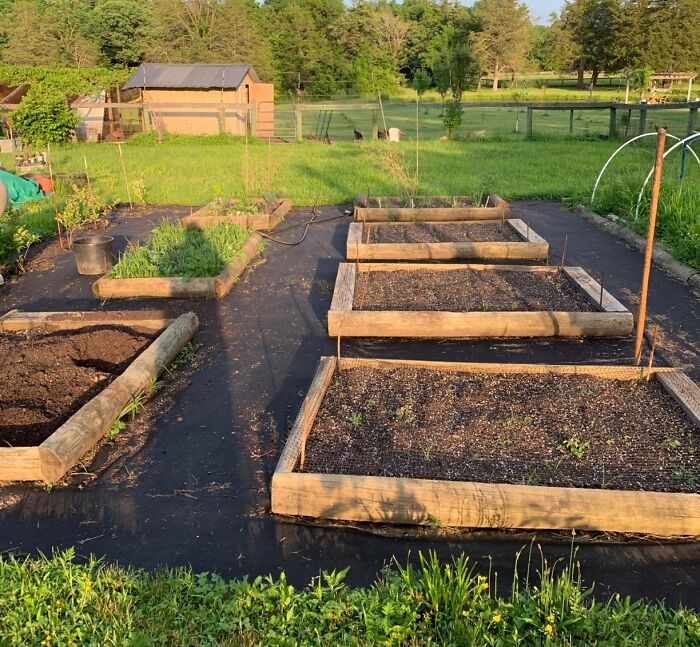 Transform Your Gardening Experience By Building A Raised Garden Bed