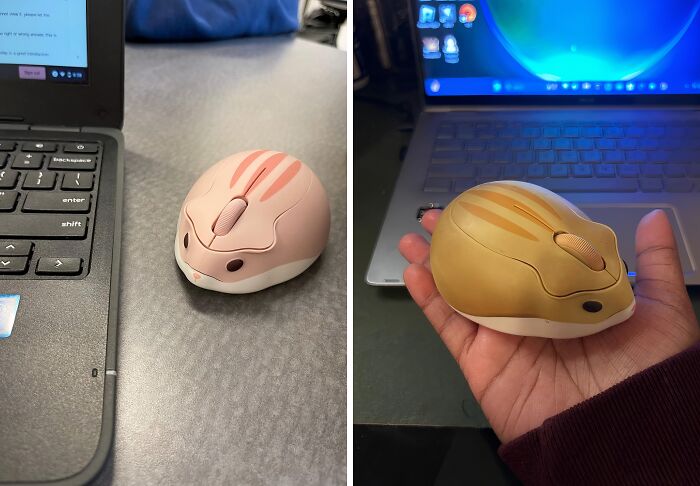 Your Coworkers Will Be Squealing With Delight When They See This Adorable Hamster Shape Wireless Mouse On Your Desk