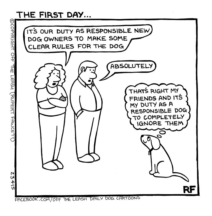 New Relatable Comics About The Reality Of Owning A Dog From The Series “Off The Leash”