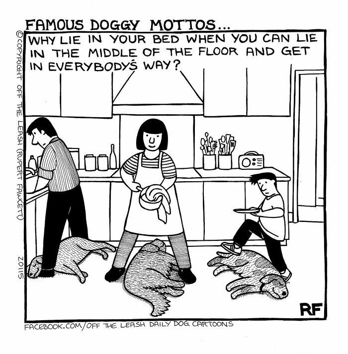 New Relatable Comics About The Reality Of Owning A Dog From The Series “Off The Leash”