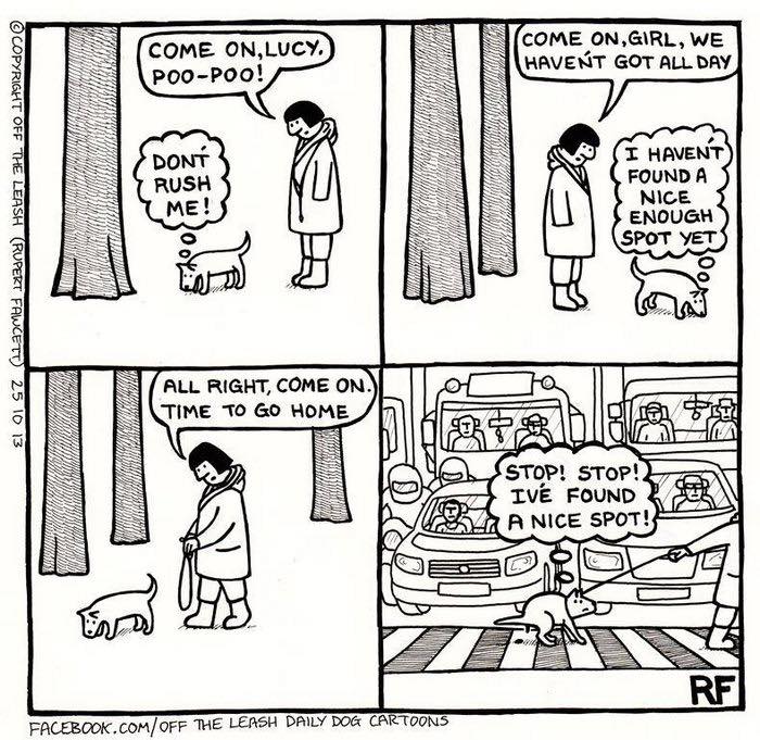 New Relatable Comics About The Reality Of Owning A Dog From The Series “Off The Leash”