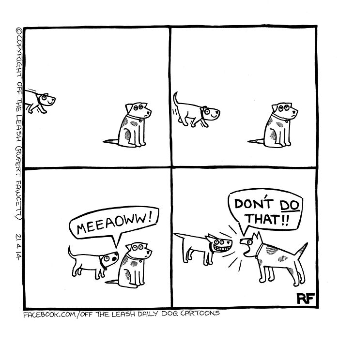 New Relatable Comics About The Reality Of Owning A Dog From The Series “Off The Leash”