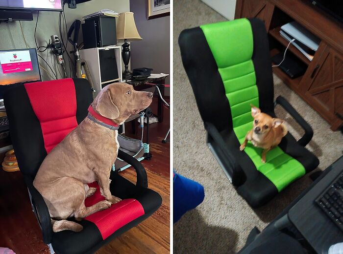 Ergonomic Chairs Are So Last Year. Redditors Are Raving About This Multipurpose Floor Chair, And You'll See Why!