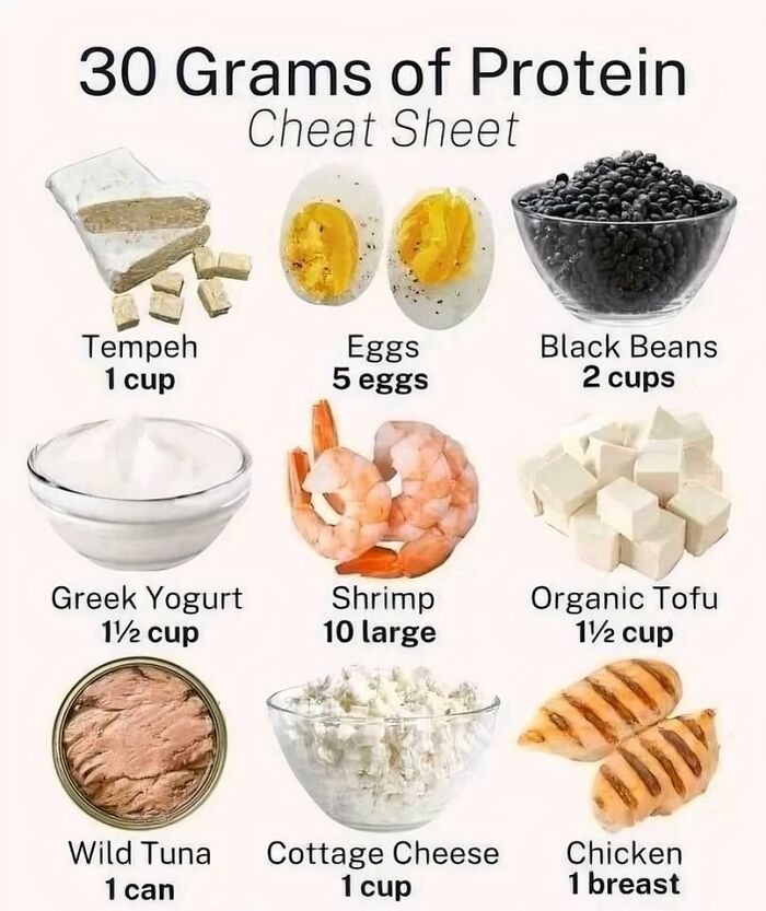 A Cool Guide For 30 Grams Of Protein