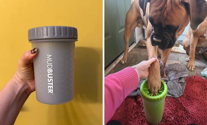 Rainy Day Walks Just Got A Whole Lot Less Messy With This Dog Paw Cleaner On Hand