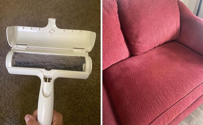 Pet Hair Got Your Couch Looking Like A Furry Monster? This Chom Chom Roller Will Tame That Beast In No Time