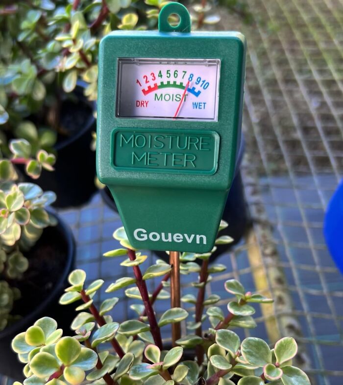 Your Plants Will Be Singing "Thank You For Being A Friend" To This Soil Moisture Meter 