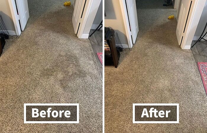 Pet Odors In A Carpet Are A Nightmare But Pet Odor Remover Works Like A Charm