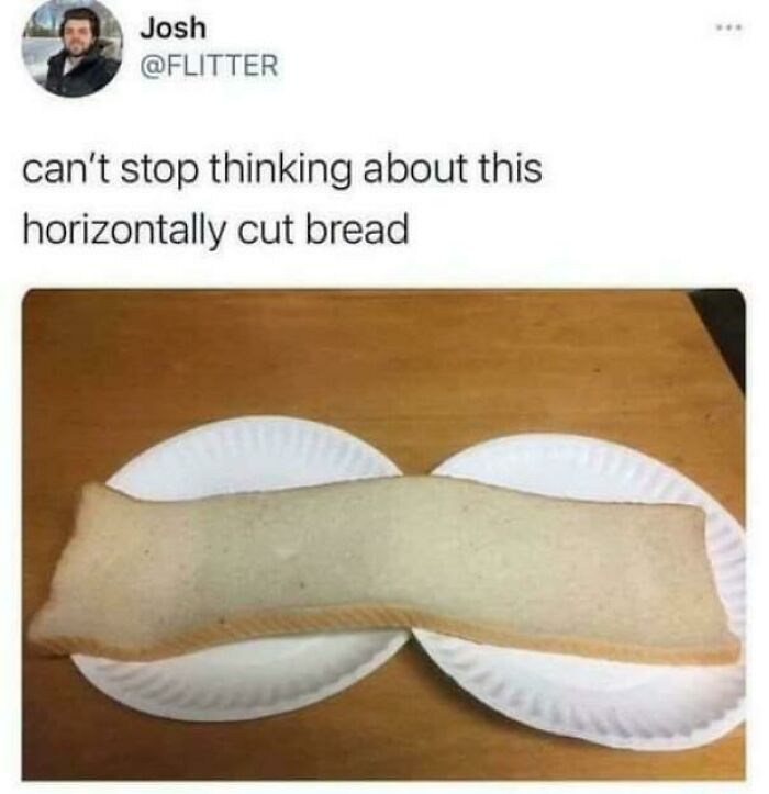 Horizontally cut bread on paper plates, an example of absolute-units-things humor.