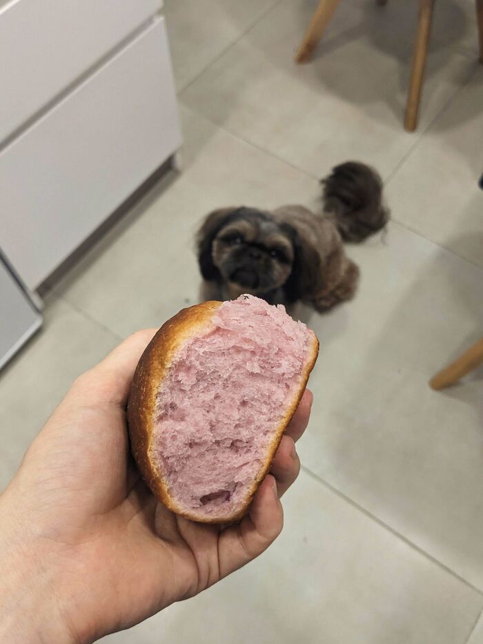 May I Show You My Purple Sweet Potato Dinner Rolls!