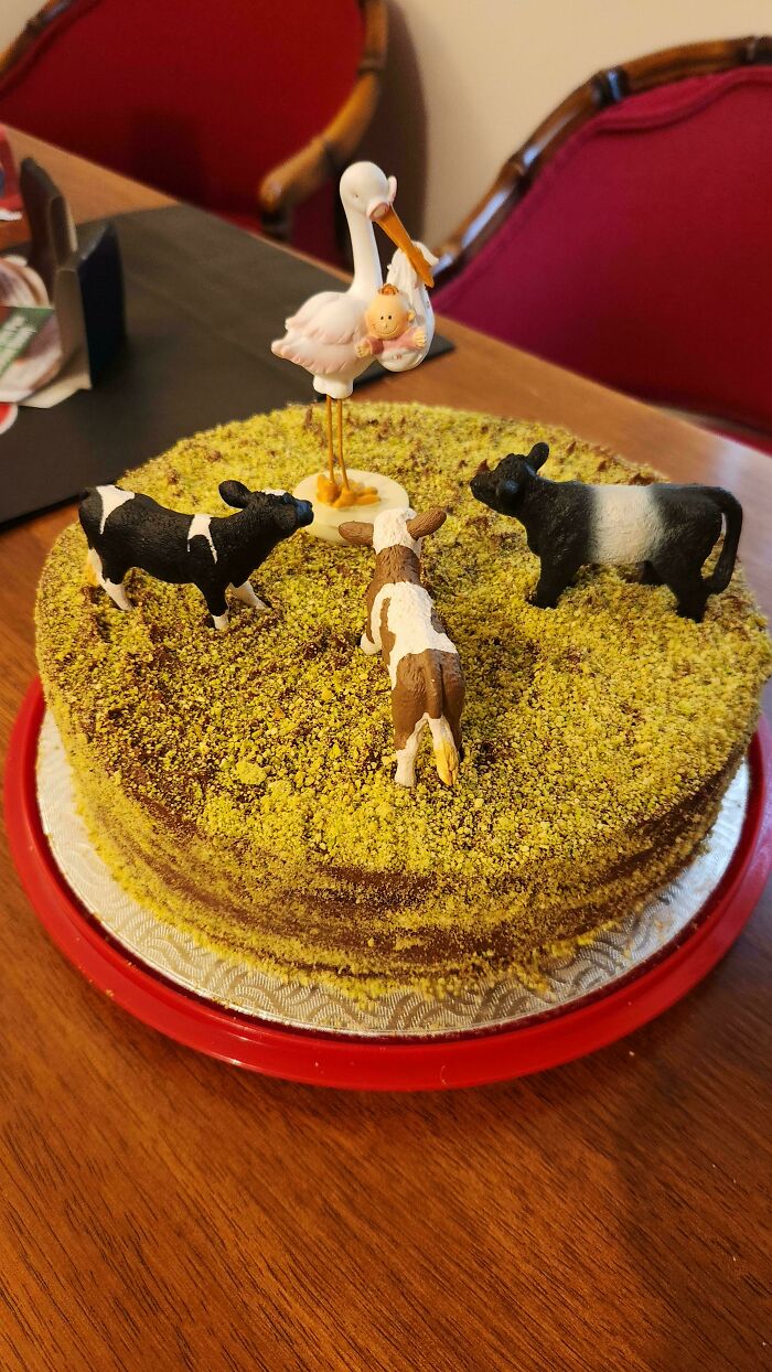 Colleague In An Agricultural Technology Company Is Going On Maternity Leave, And I Was Asked To Make A Cake