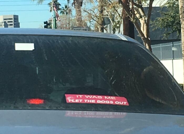 Bumper Sticker Explains 20-Year-Old Question Of Who Let The Dogs Out