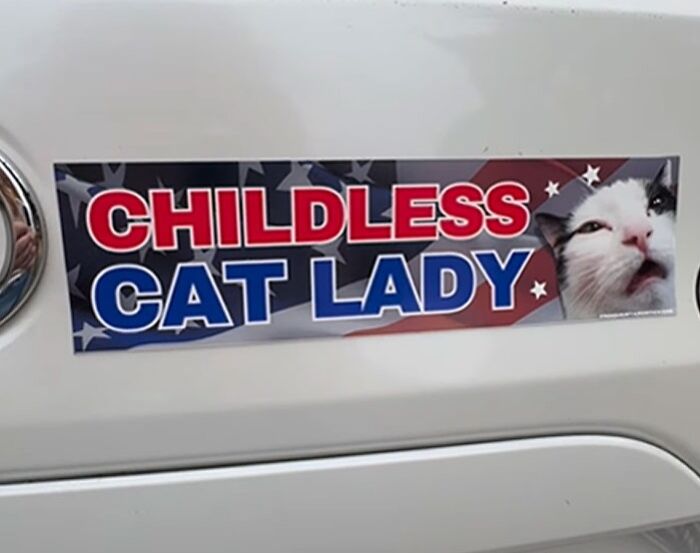 Never Ashamed To Be A Childless Cat Lady