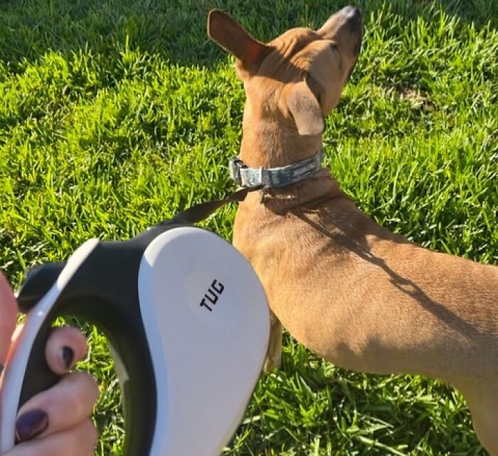 "Walking the dog in the morning before everyone is awake and walking him in the evening when everyone is in bed." - nwjckcty