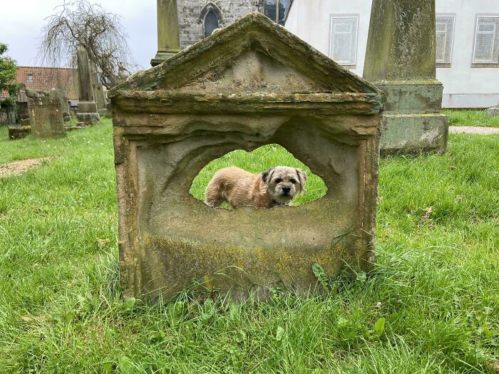 Una lápida del cementerio de la iglesia de mi ciudad está completamente desgastada.