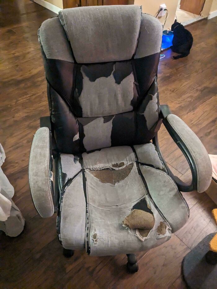 My Gross Chair That's Been Sat On Every Day For The Past 20 Years