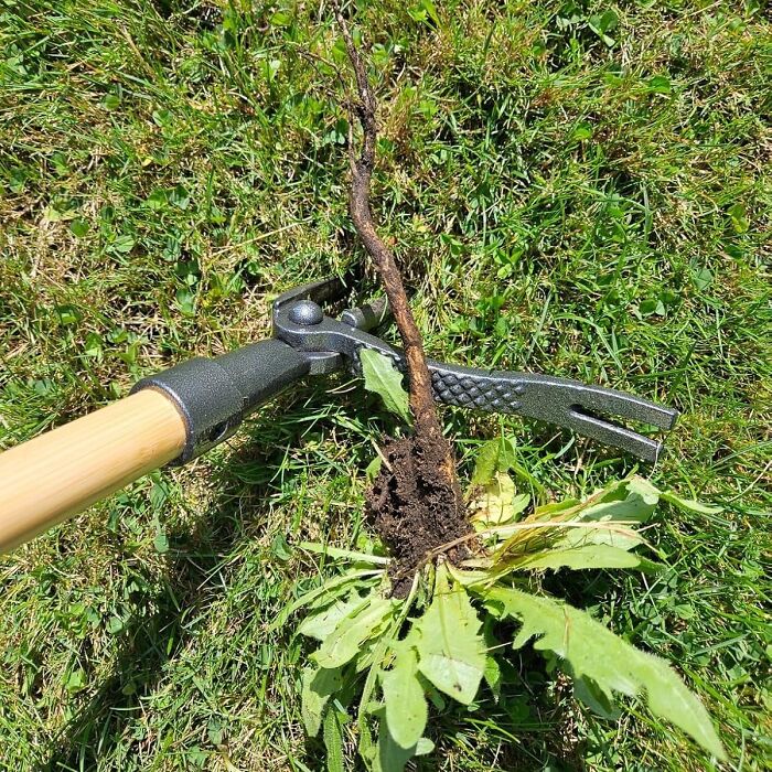 This Weed Puller Tool Will Be Your Garden's Arch-Nemesis For Years To Come - Those Pesky Weeds Won't Stand A Chance!