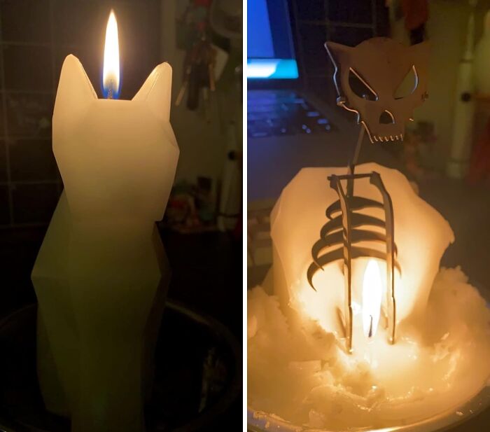 When You Feel Like Creating Some Gothic Art, Light Up This Cat Skeleton Candle