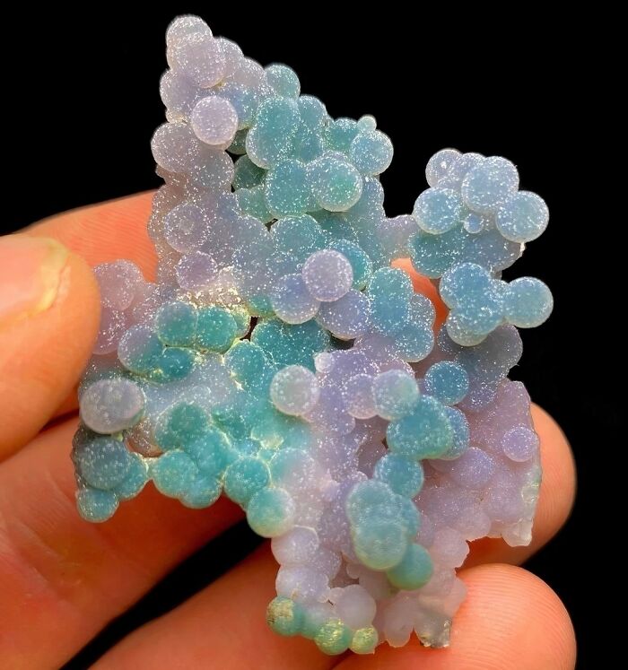 Forbidden Gummy Candy Is Certainly Low-Calorie