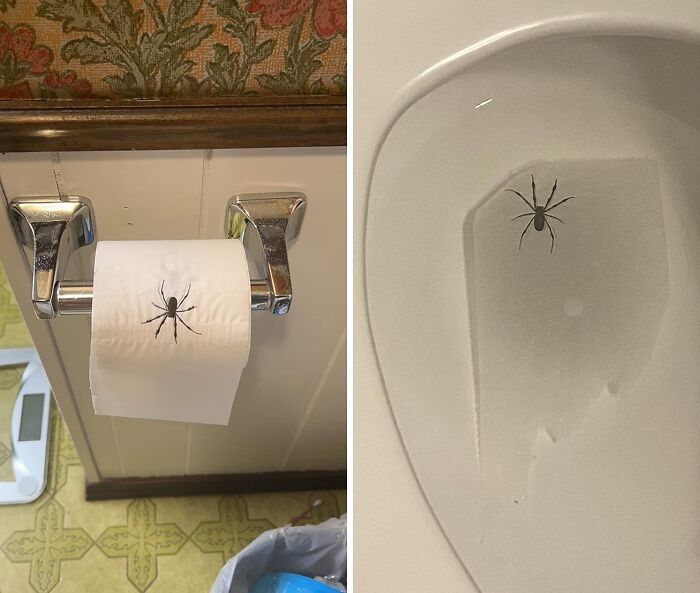 Turn Potty Time Into Prank Time, It's The Spider Funny Toilet Paper