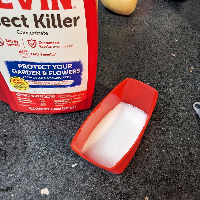 Forbidden Milk, Even Forbidden For Insects